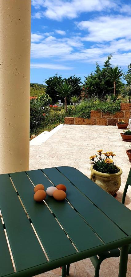 Domus Mare Cilento Bed and breakfast Agropoli