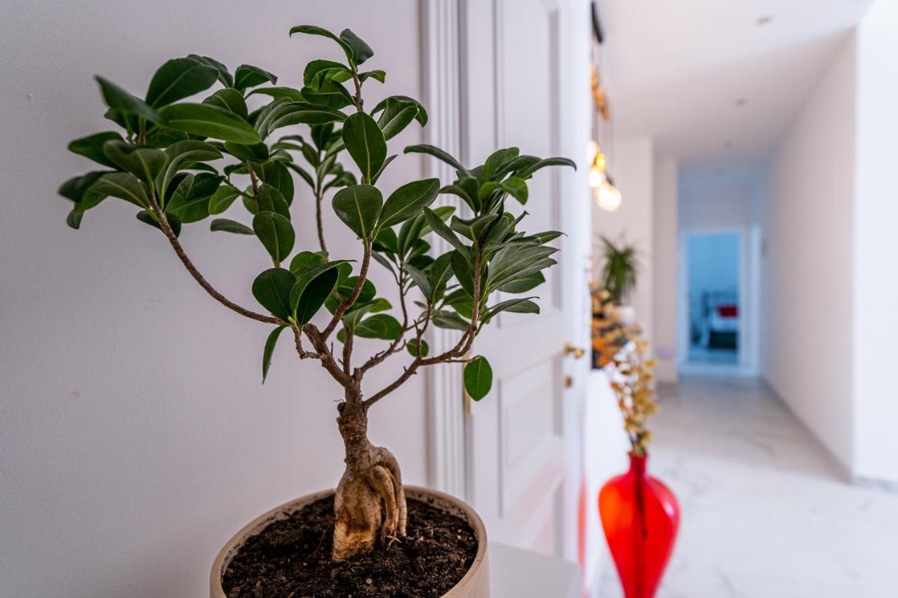 Domus Mare Cilento Bed and breakfast Agropoli