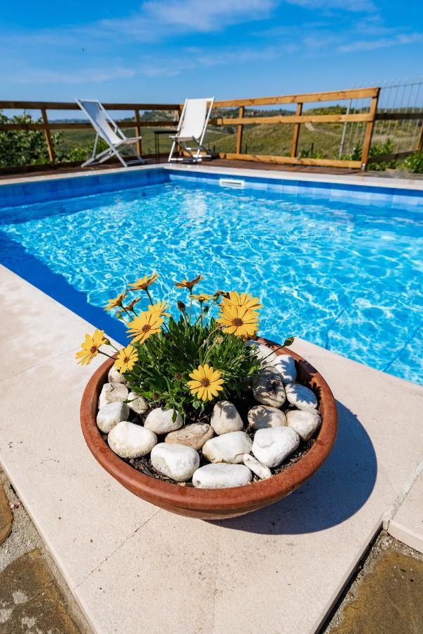 Domus Mare Cilento Bed and breakfast